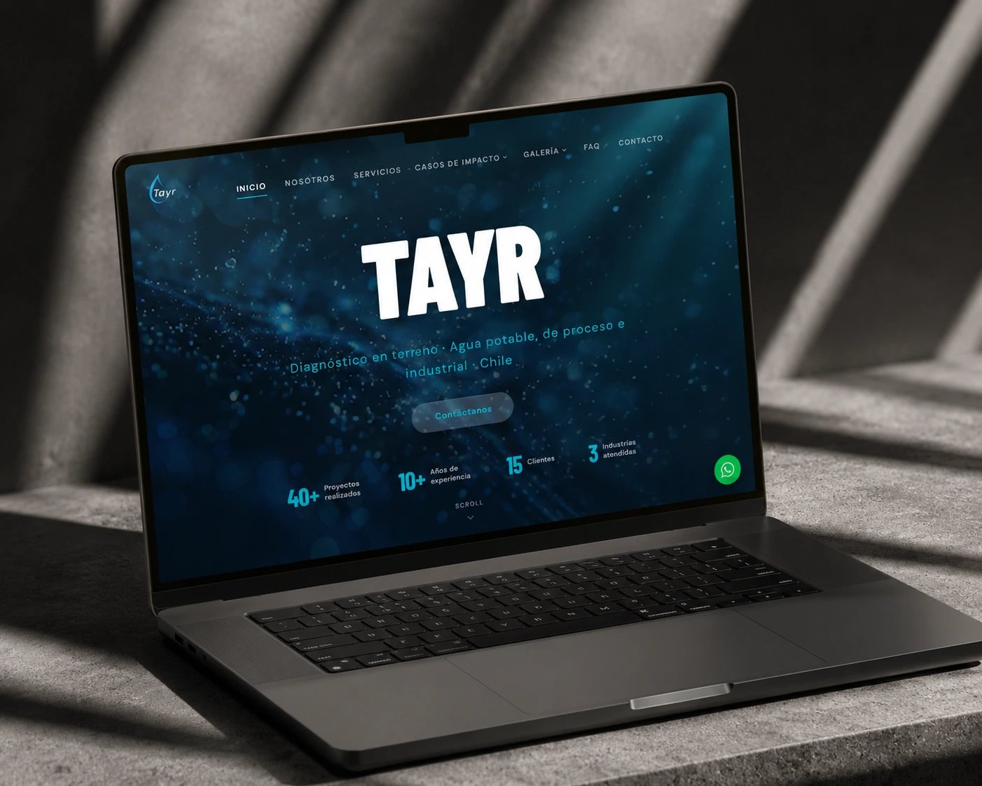Tayr